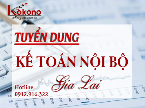 TÌM VIỆC LÀM KẾ TOÁN NỘI BỘ TẠI GIA LAI